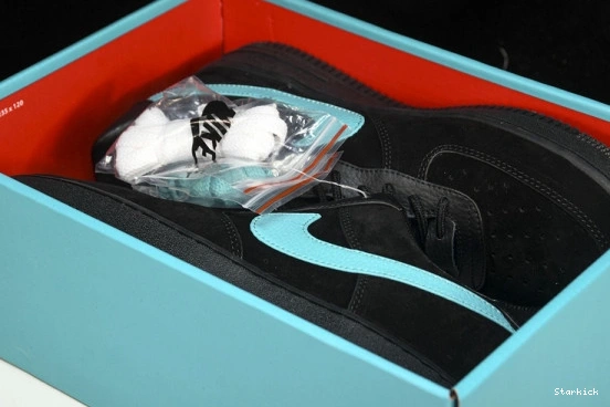 Tiffany Low 1  Force 1837 & Nike Air DZ1382-001 Co. 0208